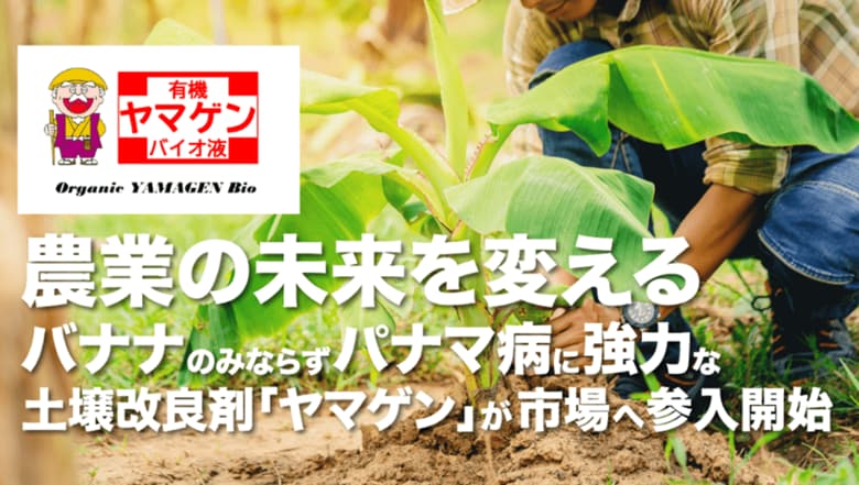 農業の未来を変える バナナの難病であるパナマ病に強力な土壌改良剤「ヤマゲン」が市場へ参入を予定