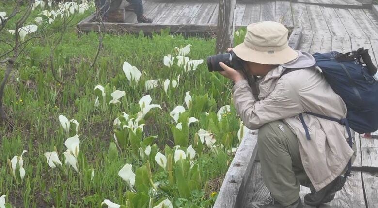 「幻想的できれい！」標高約1900ｍの栂池自然園でグリーンシーズン営業始まる　例年より3週間ほど早くミズバショウ見ごろに　長野・小谷村｜FNNプライムオンライン