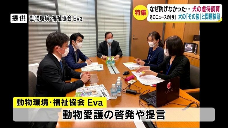 提供:動物環境・福祉協会Eva