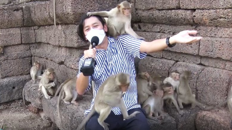 やりたい放題の猿に囲まれ必死にリポートする河井カメラマン