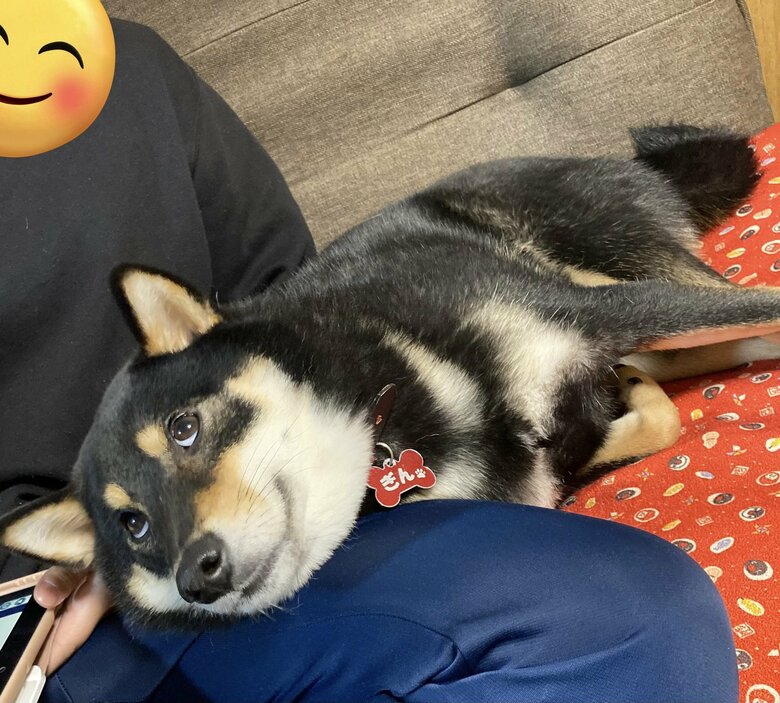 提供：黒柴ぎん@快杜号さん