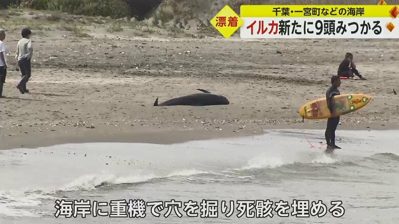 今後も巡回を続ける