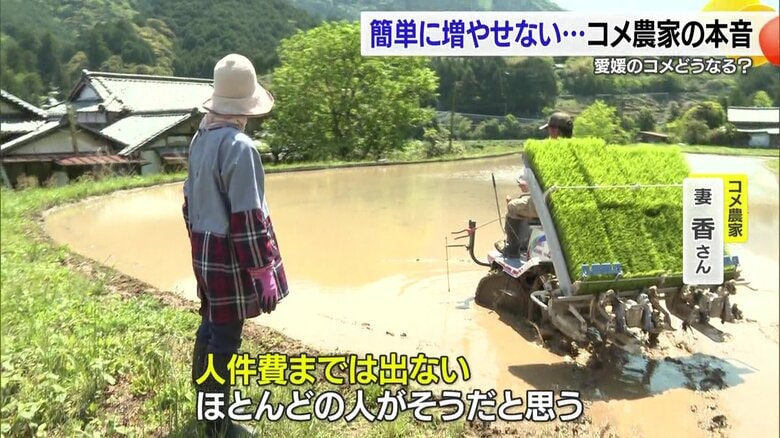 この高騰で少しでも儲けが出るのであれば