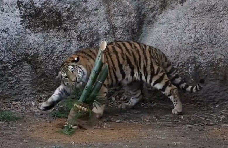 なんだこれ？といった表情