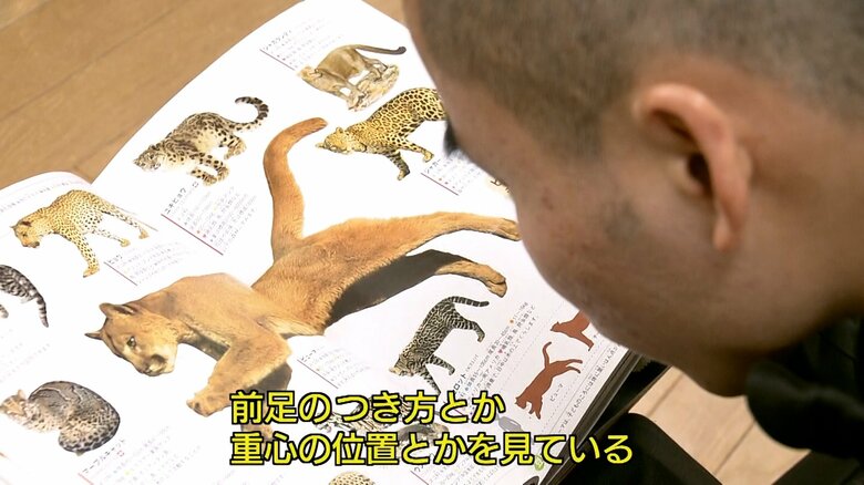 動物図鑑で四肢動物を研究する