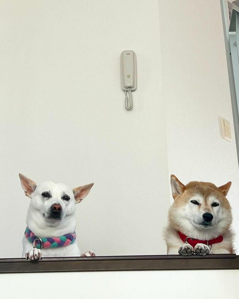 提供：橋本真実さん