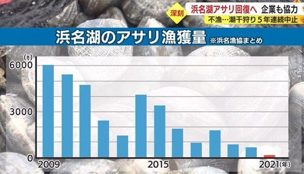 10年あまりで漁獲量は1/60に