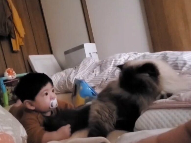 提供：ねぎまるさん