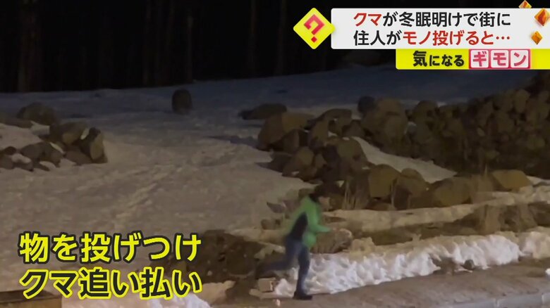 物を投げつけて、クマを追い払う人の姿
