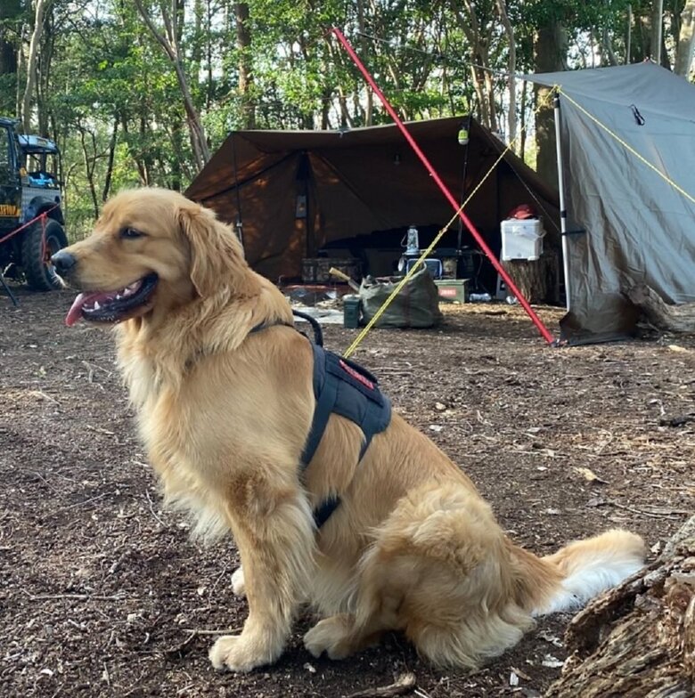 キャンプを満喫