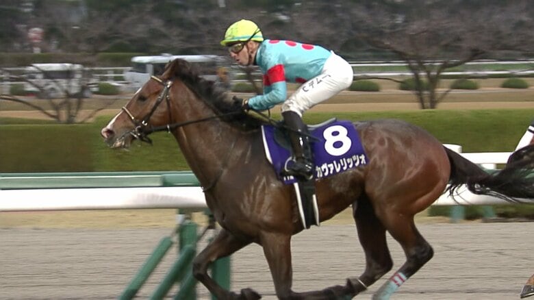 2歳王者カヴァレリッツォ