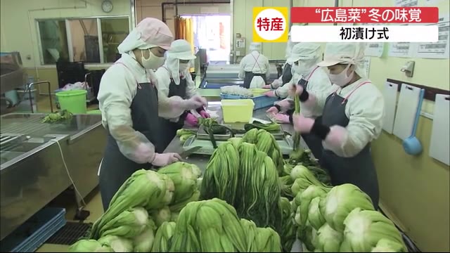 冬の味覚「広島菜漬け」初漬け式 ことしは豊作