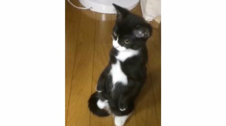 初めて立った時の様子　2分ほど立っていたそう