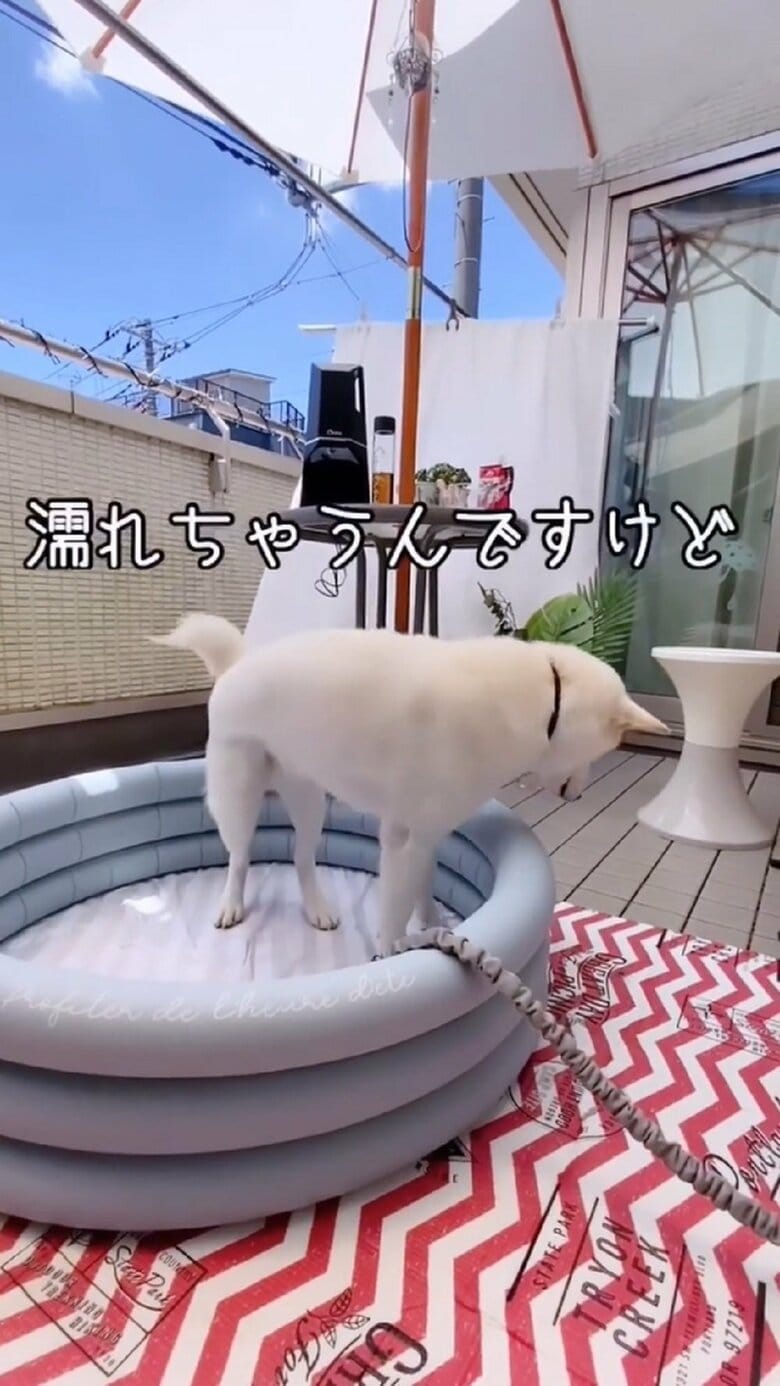 「濡れちゃうんですけど」