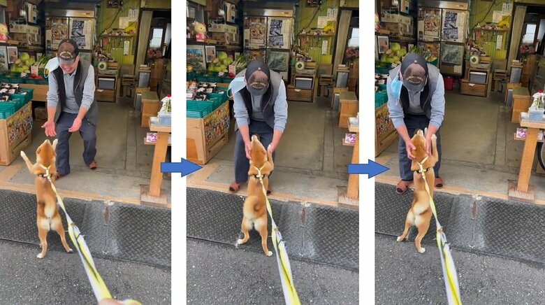 おっちゃんがそばに来てくれてマメちゃんはうれしそう