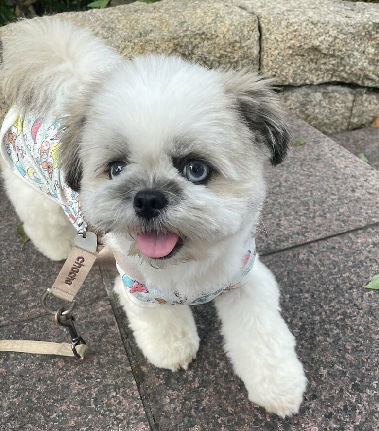 ウキウキな様子