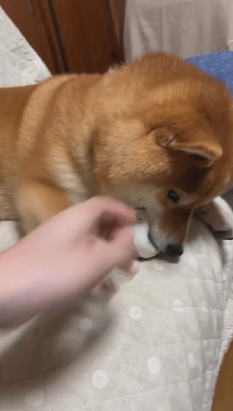 何度も繰り返されるやり取り