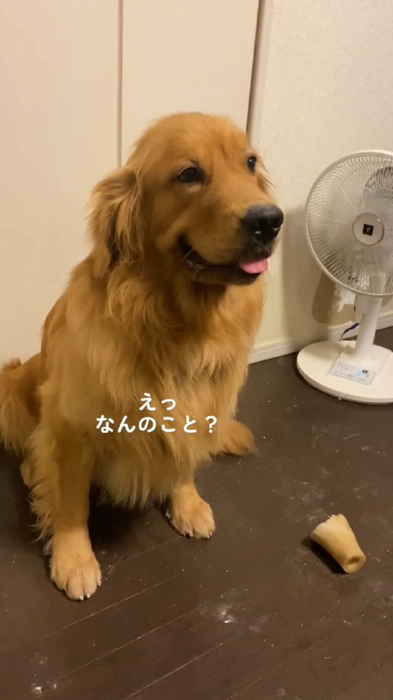 「えっ、なんのこと？」ととぼけ顔で終わらせようとした