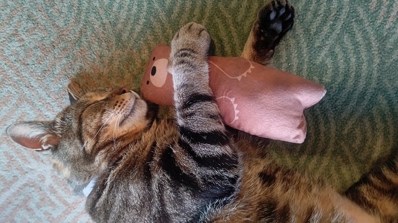 見る人を自然と笑顔に