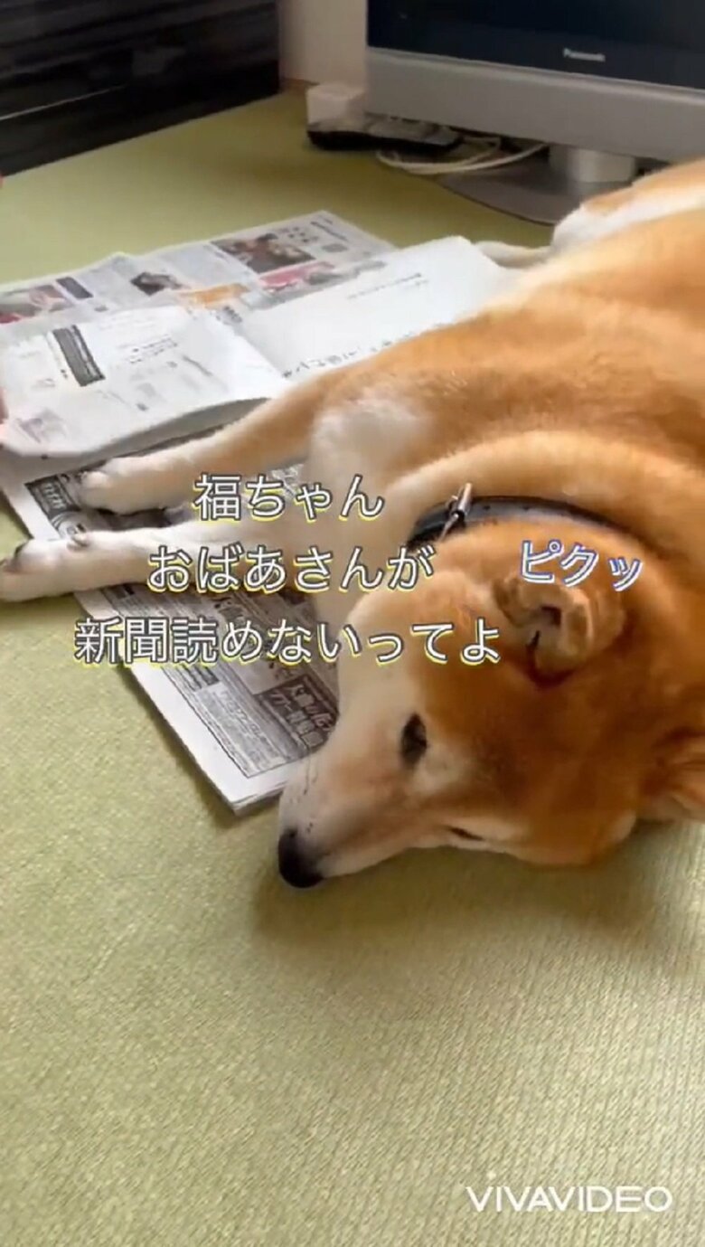 すると、それに耳をピクッと反応