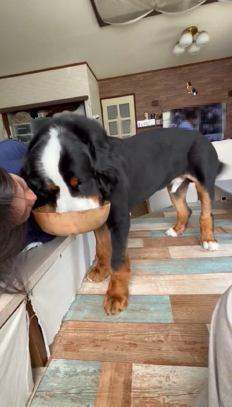 こんなにも近い距離なのに八兵衛くんは気にしていない様子