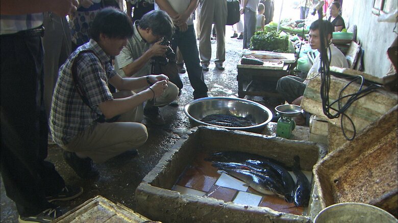 ベトナムの市場でナマズを観察された秋篠宮さま　2012年8月