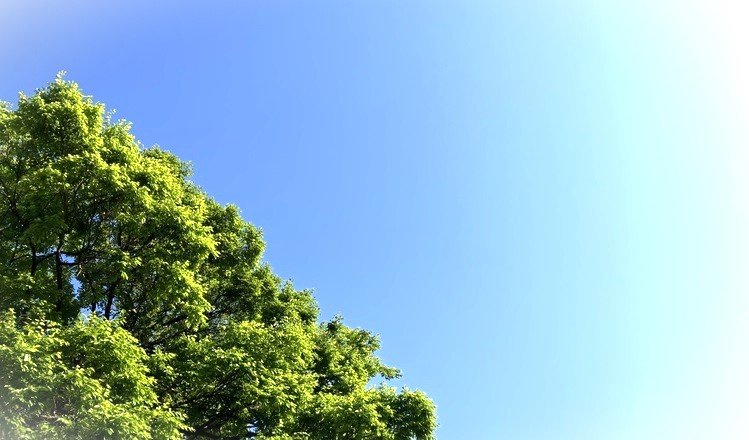 5月の空から紫外線が降り注ぐ