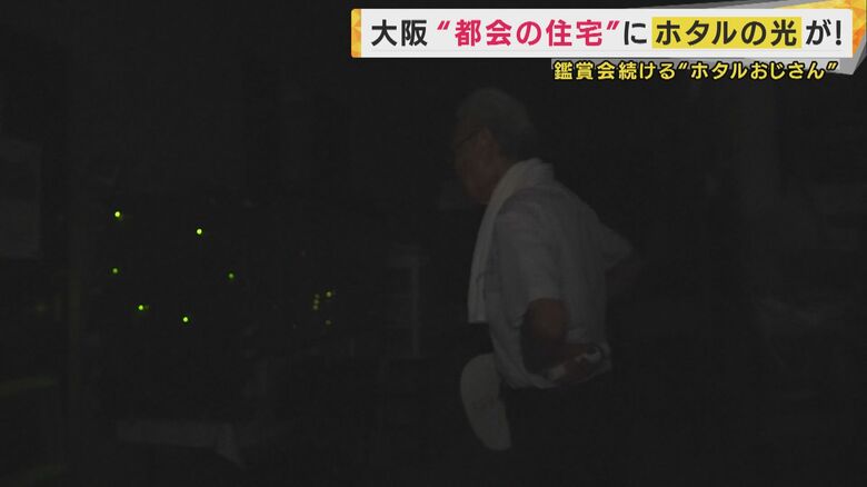 夜を照らすホタル