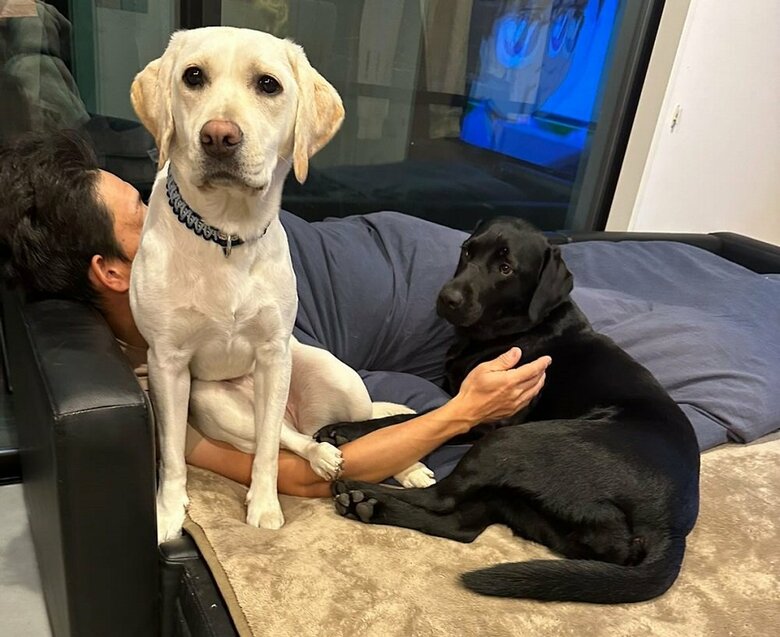 のあちゃん（右）を触っていると、割り込んで乗り上げてくるというえまちゃん（左）