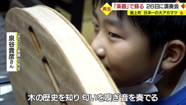 触り、匂いを嗅いで樹齢600年の大アカマツ感じる子ども