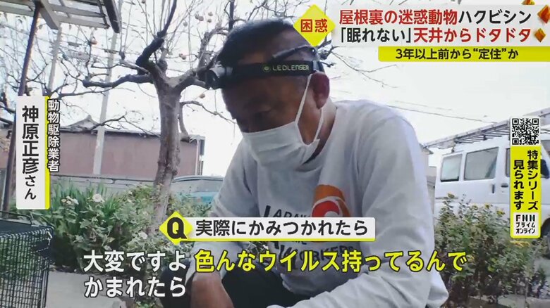 かまれたら感染症の危険も