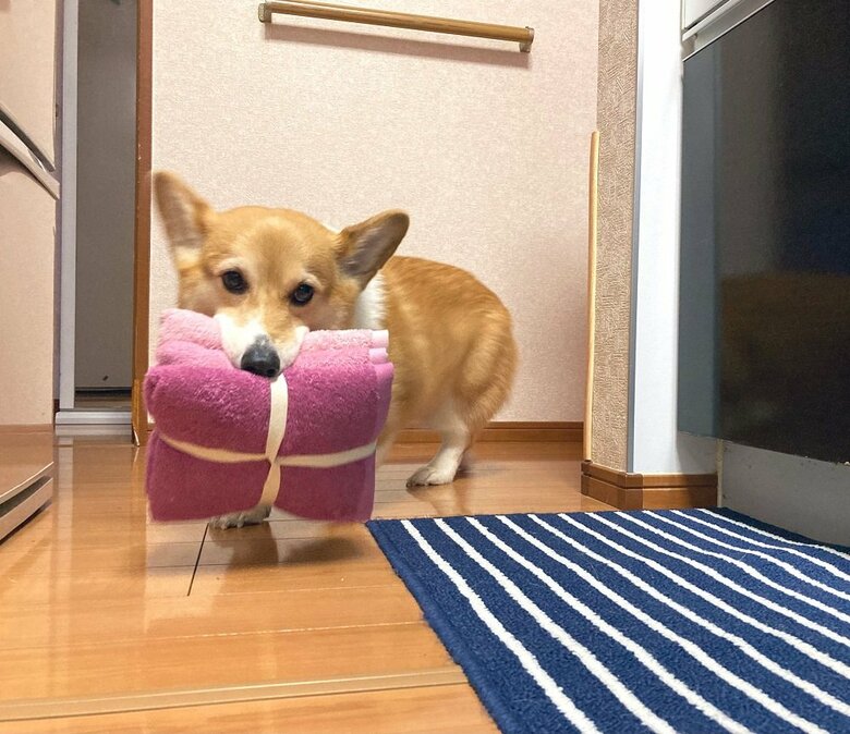 自慢気に持ち歩いている