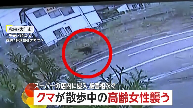防犯カメラが捉えた、クマが高齢女性に襲いかかる瞬間①