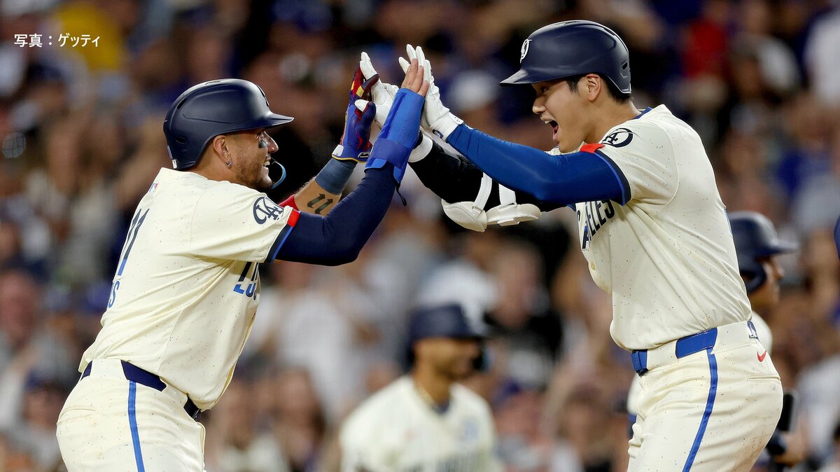 img_4695575f3325f8d8b36d4b7c9e