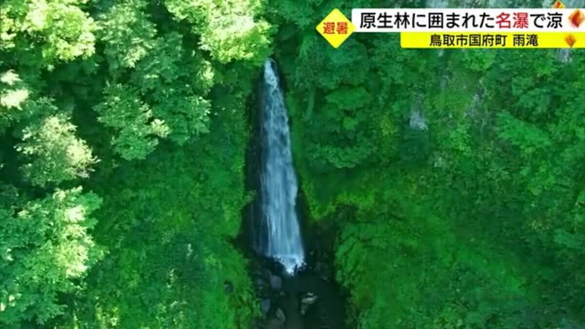 猛暑の中 日本の滝百選の”名瀑”「雨滝」は別世界の”涼風景”（鳥取市