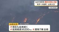 延焼範囲２００ヘクタール　岩手県大槌町の山林火災は現在も延焼中　仙台市消防局が職員７３人を現地へ派遣