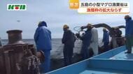  クロマグロの漁獲枠拡大ならず　五島のマグロ漁師は
