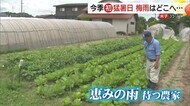 米子で35.3℃！今季初の「猛暑日」梅雨はどこ？農家は「晴れ予報」に困惑（鳥取・島根）