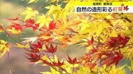 週末は紅葉狩り日和！邑南町の断魚渓で見ごろピーク　週明けは寒気南下し山地で雪の可能性