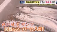 秋の味覚サンマが“高級魚”に？　初物の値段は“500円越え”　ことしは来遊量が過去最低水準も「サイズも大きく、鮮度もよく、脂のりもよく」