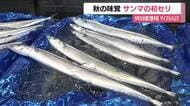 福島市の市場でサンマの初セリ　北海道根室市で水揚げされた26キロが初入荷　9月中旬には最盛期に
