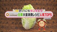 冬が旬の白菜!大量消費レシピ人気トップ5 1位は切って混ぜるだけ?手軽でおいしい料理がランクイン