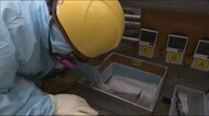 地下水が影響している可能性 福島第一原発・凍土遮水壁の温度が上昇した問題<東京電力>