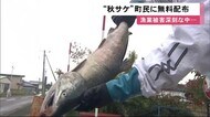 貴重&新鮮な