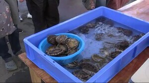 「鮭・あわびまつり」 新鮮な地元の海の幸を <岩手・宮古市>
