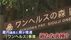 『ワンへルスの森』森林浴モニターツアー参加者に“謝礼3万3000円” …