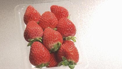 消えた3億7000万円…自然豊かな滋賀県高島市で町おこしの「イチゴ農園」計画がとん挫　市が先払いした補助金の行方は？