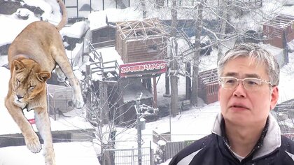 【どうなる動物たち】違法建築問題で閉園した「ノースサファリサッポロ」に対し、札幌市が『除却命令』を出す方向で調整―未だ38棟が残存「運営会社の弁明を聞く機会設ける」