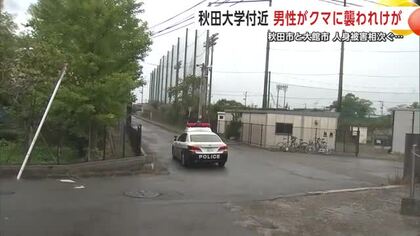 クマの人身被害相次ぐ　秋田大学近くで散歩中の男性襲われけが　大館市の女性は畑で作業中に被害　秋田