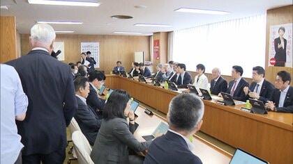 衆院比例45議席減法案 比例定数を131に　自民党が総務会で了承